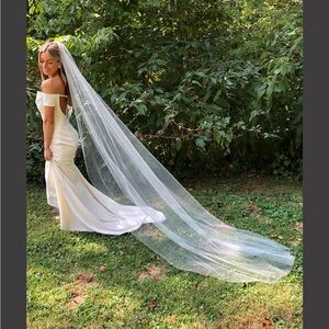 Paris Cathedral Veil